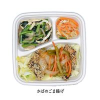 Studish 第一弾セット 5種 / 冷凍弁当 送料無料