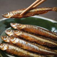 【上代厳守】函館山久 たかはし 佃煮6種 詰め合わせ