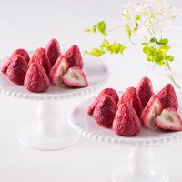 【お歳暮】「銀座千疋屋」いちごショコラ＆クッキー《お届け期間：11月18日～12月25日》 / 常温 ギフト 送料無料