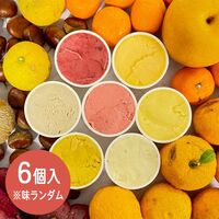 【上代厳守】ジェラート（6個入）※味ランダム / アイス ジェラート SDGs 送料無料