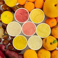 【上代厳守】ジェラート（12個入）※味ランダム / アイス ジェラート SDGs 送料無料