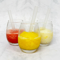 【上代厳守】ジェラートスムージー（12個入） / アイス ジェラート スムージー SDGs 送料無料