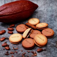 京都 「dari K」 カカオサンドクッキー12枚（ダーク・ミルク） 2種×各6枚 / ダリケー クッキー ギフト 送料無料