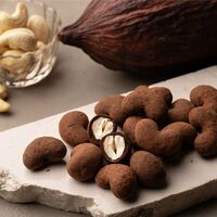 京都 「dari K」 カシューチョコ 110g / ダリケー ギフト 送料無料