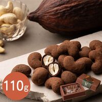 京都 「dari K」 カシューチョコ 110g / ダリケー ギフト 送料無料