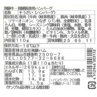 岐阜 「キッチン飛騨」 飛騨牛＆飛騨豚使用ハンバーグ詰合せ 各5個 / 冷凍 セット 送料無料