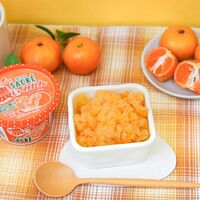 サクレ 濃いみかん 12個 / アイス 送料無料