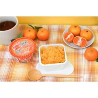 サクレ 濃いみかん 12個 / アイス 送料無料