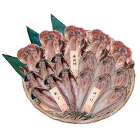 【上代厳守】五島灘の塩 干物詰合せ 17尾セット / 国産 冷凍 送料無料