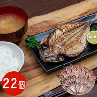 【上代厳守】五島灘の塩 干物詰合せ 22尾セット / 国産 冷凍 送料無料