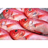 【上代厳守】銚子のつりきんめしゃぶしゃぶ 3皿 / 国産 金目鯛 冷凍 送料無料