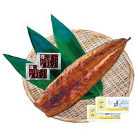 【上代厳守】特大 鹿児島県産うなぎ蒲焼セット 200g / 国産 鰻 ウナギ 冷凍 送料無料