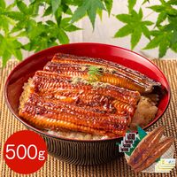 【上代厳守】超特大 鹿児島県産うなぎ蒲焼セット 長焼き 500g （長焼き 250g 2尾) / 国産 鰻 ウナギ 冷凍 送料無料