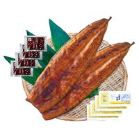 【上代厳守】超特大 鹿児島県産うなぎ蒲焼セット 長焼き 500g （長焼き 250g 2尾) / 国産 鰻 ウナギ 冷凍 送料無料