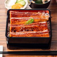 【上代厳守】超特大 鹿児島県産うなぎ蒲焼とカットうなぎのセット 580g （長焼き 250g 2尾・カットうなぎ 80g×1パック) / 国産 鰻 ウナギ 冷凍 送料無料