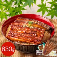 【上代厳守】特大 鹿児島県産うなぎ蒲焼とカットうなぎのセット 830g（長焼き 250g 2尾・カットうなぎ 80g×1パック) / 国産 鰻 ウナギ 冷凍 送料無料