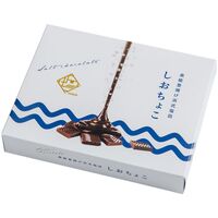 【期間限定】しおちょこ 36箱入 《販売期間：毎年10月中旬～3月末》 / チョコ 塩チョコ 能登 常温 送料無料