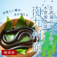蒲焼うなぎカット済※蒲焼（80g）＋鹿児島和牛・A5赤身焼肉100g / 牛肉 鰻 ウナギ セット ギフト 送料無料