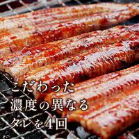 蒲焼うなぎカット済※蒲焼（80g）＋鹿児島和牛・A5厚切りカルビ焼肉250g / 牛肉 鰻 ウナギ セット ギフト 送料無料