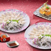 【母の日】下関 「関とら本店」 ふく霜降り刺身・煮こごりセット《お届け期間：2026年5月9日～2026年5月10日》 / ふぐ フグ 冷凍 送料無料