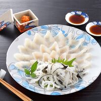 【父の日】下関 「関とら本店」 とらふく刺身セット《お届け期間：2026年6月20日～2026年6月21日》 / ふぐ フグ 冷凍 送料無料