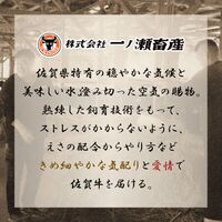 佐賀牛 焼肉 ロース 200g / 牛肉 ギフト 送料無料