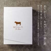 佐賀牛 焼肉 ロース 250g / 牛肉 ギフト 送料無料
