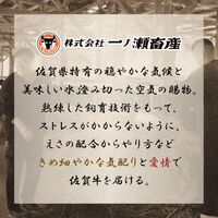 佐賀牛 肩ロース すき焼きしゃぶしゃぶ 300g / 牛肉 ギフト 送料無料