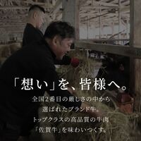 佐賀牛 切り落とし すき焼きしゃぶしゃぶ 500g / 牛肉 ギフト 送料無料