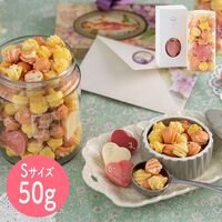 【ホワイトデー】東京 「マカロン・エ・ショコラ」 マカロンボーロ プランタン S《お届け期間：2/15～3/20》 / マカロン ギフト 常温 送料無料