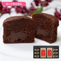 【母の日】コーヒー＆トリュフショコラケーキギフト（コーヒー150g×2、トリュフショコラ×6）《お届け期間：2026年5月9日～2026年5月10日》 / セット 常温 送料無料
