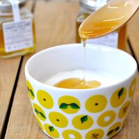 【上代厳守】四万十のニホンミツバチが集めた蜂蜜 SHIMANTO LOCAL HONEY 140g / 国産 はちみつ ハチミツ 常温 送料無料