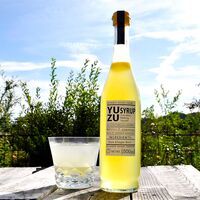 【上代厳守】無添加・無香料 ［高知の柚子ドリンク］6倍希釈 / 国産 ジュース 常温 送料無料