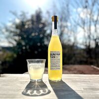 【上代厳守】無添加・無香料 ［高知の文旦ドリンク］4倍希釈 / 国産 ジュース 常温 送料無料