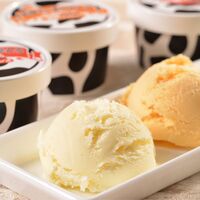 【母の日】北海道 「十勝ドルチェ」 お母さんありがとうアイス 7個《お届け期間：2026年5月9日～2026年5月10日》 / アイス 送料無料