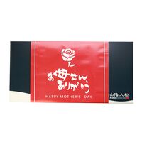 【母の日】鳥取 「山陰大松」 氷温熟成 西京漬けギフトセット6切《お届け期間：2026年5月9日～2026年5月10日》 / 冷凍 送料無料