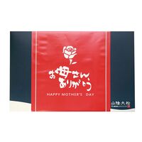 【母の日】鳥取 「山陰大松」 氷温熟成 西京漬けギフトセット8切《お届け期間：2026年5月9日～2026年5月10日》 / 冷凍 送料無料