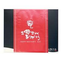 【母の日】鳥取 「山陰大松」 氷温熟成 西京漬けギフトセット 10切「凛」《お届け期間：2026年5月9日～2026年5月10日》 / 冷凍 送料無料