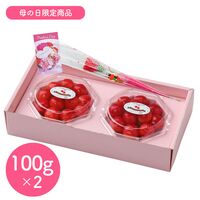 【母の日】山形県産ハウスさくらんぼ佐藤錦ダイヤパック 母の日セット《お届け期間：2026年5月9日～2026年5月10日》 / 冷蔵 送料無料