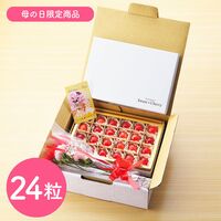 【母の日】山形県産ハウスさくらんぼ佐藤錦 母の日セット《お届け期間：2026年5月9日～2026年5月10日》 / 冷蔵 送料無料