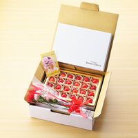 【母の日】山形県産ハウスさくらんぼ佐藤錦 母の日セット《お届け期間：2026年5月9日～2026年5月10日》 / 冷蔵 送料無料