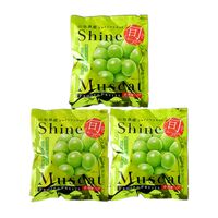 山形 「凍眠フルーツ」 シャインマスカット3袋セット / 国産 冷凍フルーツ 送料無料