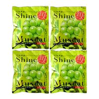 山形 「凍眠フルーツ」 シャインマスカット4袋セット / 国産 冷凍フルーツ 送料無料