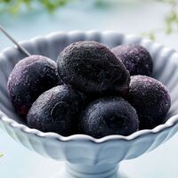 長野 「凍眠フルーツ」 ナガノパープル4袋セット / 国産 冷凍フルーツ 送料無料