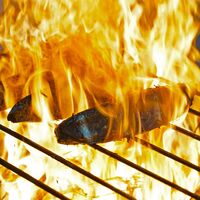 【上代厳守】地元高知人も、これは美味い！とうならせる！一本釣り地鰹の藁焼きタタキ（旬凍） / かつお カツオ 冷凍 送料無料