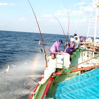 【上代厳守】地元高知人も、これは美味い！とうならせる！一本釣り地鰹の藁焼きタタキ（旬凍） / かつお カツオ 冷凍 送料無料