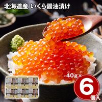 北海道産 いくら醤油漬け 40g×6 / 冷凍 送料無料