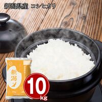 新潟県産 コシヒカリ10kg / 米 常温 送料無料