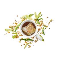 【倉入れ】LE 2 MARMOTTES ハーブティー マルモットオリジナル（30袋入）（ケース入数：10,ロット：1） / 紅茶 ティーバッグ 常温 送料無料