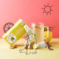 【倉入れ】LE 2 MARMOTTES ハーブティー シトロンジンジャー（30袋入）（ケース入数：10,ロット：1） / 紅茶 ティーバッグ 常温 送料無料